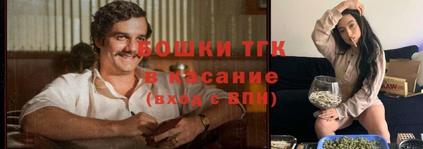стаф Алексеевка