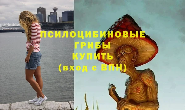 a pvp Абаза