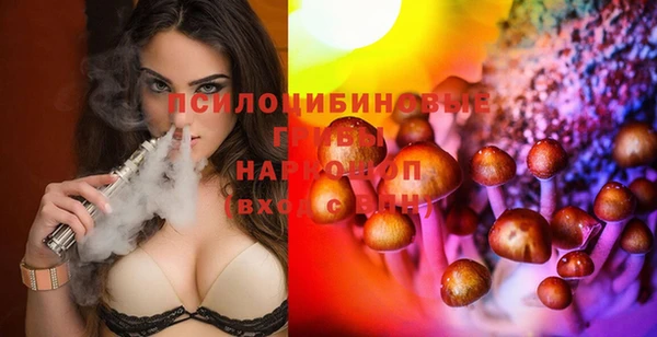 ПСИЛОЦИБИНОВЫЕ ГРИБЫ Алзамай