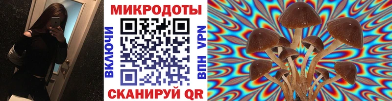 купить наркотики цена  Краснокамск  Псилоцибиновые грибы MAGIC MUSHROOMS 