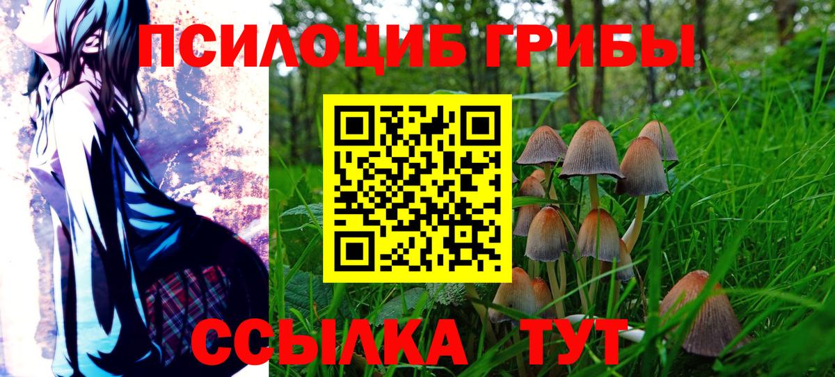 Псилоцибиновые грибы Magic Shrooms Краснокамск