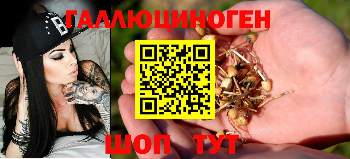 Псилоцибиновые грибы прущие грибы  Вход с VPN  Краснокамск 
